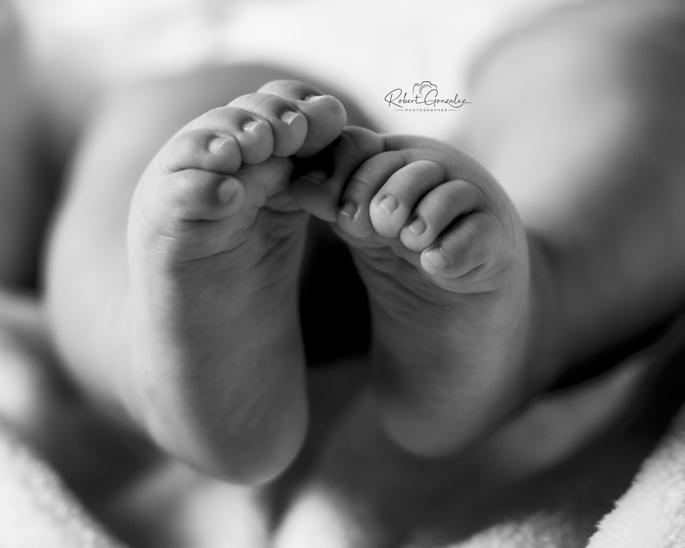 Newborn session: the baby's tiny feet in black and white